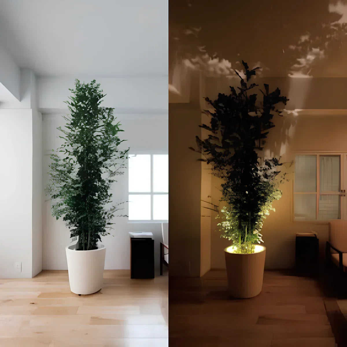 Fuoco | Wireless Battery Wall Spotlight with Remote, Adjustable Picture Light and Accent Light, No Wiring