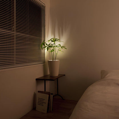 Fuoco | Wireless Battery Wall Spotlight with Remote, Adjustable Picture Light and Accent Light, No Wiring